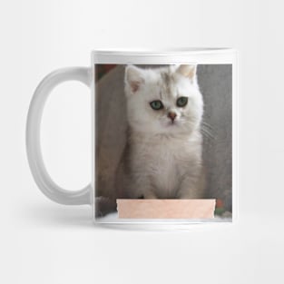 Saba cute cats Mug